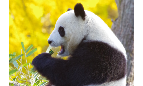 講座のサムネイル